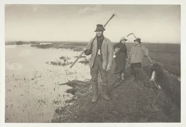Thuiskomen uit de moerassen