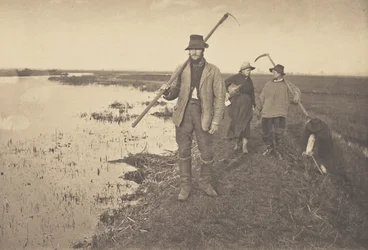 Thuiskomst uit de moerassen