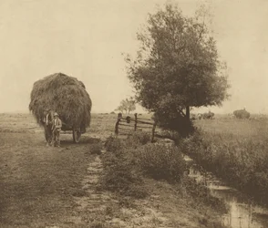 In het hooiveld. [Norfolk.]