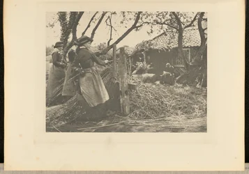 OsierPeeling. [Norfolk.]