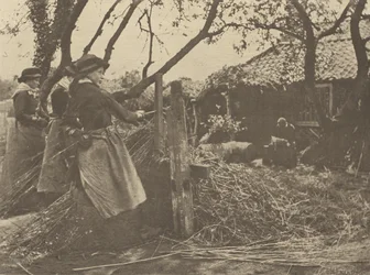 OsierPeeling. [Norfolk.]