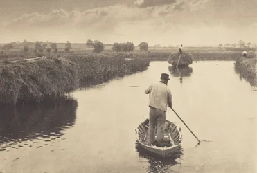 Het moerashooi met een vaarboom voortduwen
