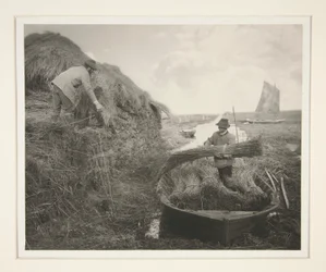Riet harken
