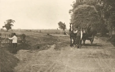 De rijkdom van moerasland
