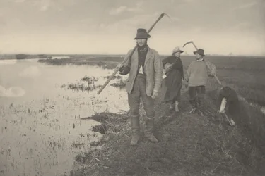 Thuiskomst van de moerassen