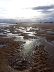 Laag tij Hartlepool, 2016
