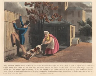 Een van een set van 6 (5): Een Dagboek van een Spons