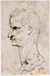 Gaius Caligula, uit tien tekeningen van acht van de eerste twaalf Caesars, naar de medailles van Giovanni da Cavino