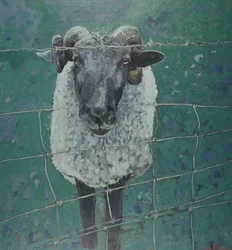 Wachtend schaap, 2000 (olieverf op doek)