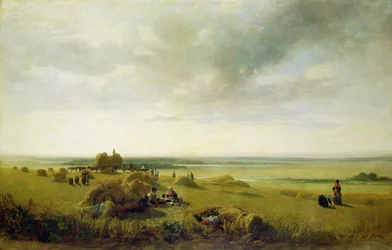 Een Korenveld