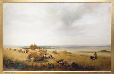Een korenveld