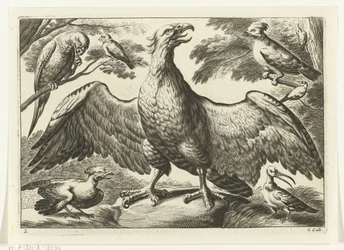 Arend Verschillende vogels (series title)