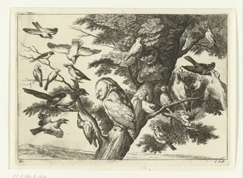Vogels in een boom