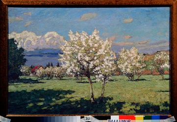 De bloeiende kersenbomen