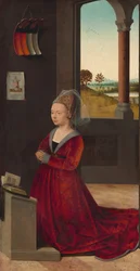 Portret van een Vrouwelijke Donor