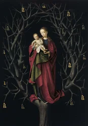 De Maagd van de droge boom