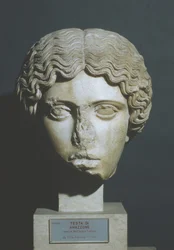 Hoofd van een Amazone