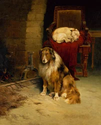 Gezelschap bij de Haard