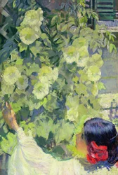 Stokrozen, ca.1923 (olieverf op doek)