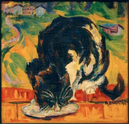 Eten kat