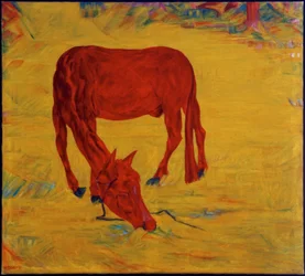 Paard in vrijheid