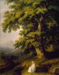 Het bos van Camaldoli