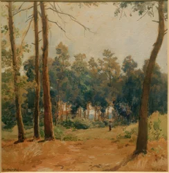 Boslandschap bij Hartmannshofen