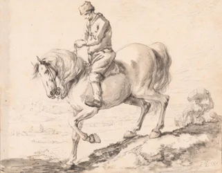 Een ruiter steekt met zijn paard een beek over