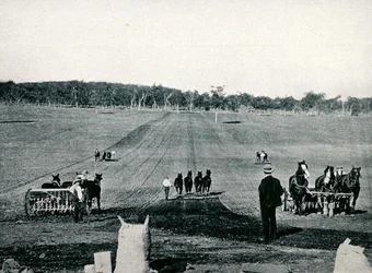 Het leren zaaien met de zaaimachine en walsen aan het Dookie Agricultural College, Victoria, circa 1900, uit 