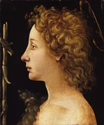 De jonge Sint Jan de Doper