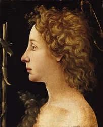 De Jonge Sint-Jan de Doper