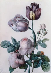 Een koolroos, twee tulpen, een kleine gehakkelde aurelia, gele weide