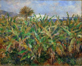 Champs de Bananiers - Bananenveld (olieverfschilderij)