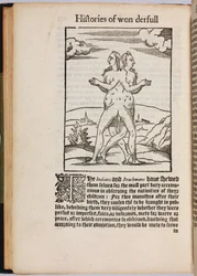 Een verzameling buitengewone verhalen Histoires prodigieuses, 1560