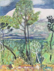 Landschap