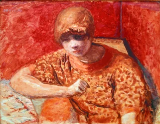 De oranje blouse