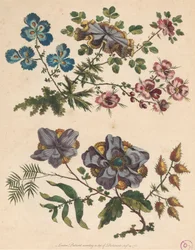 Twee Takken van Denkbeeldige Bloemen