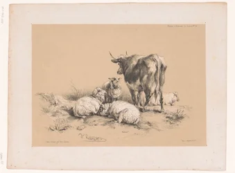 Studies van vier schapen en een koe Dierstudies van Cooper