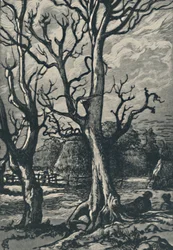 Een Terracine, 1919