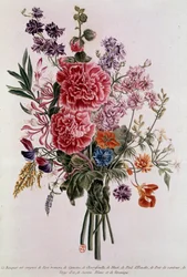 Boeket samengesteld met rozen Lithografie door Pierre Joseph Buchoz (1731-1807) 18e eeuw Parijs, B.N.