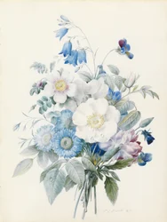 Blauwe asters, rosa spinosissima (hybride), klokjesbloem, viooltjes, anjer en een wilde roos