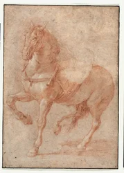 Studie van Bucephalus voor het reliëf "Alexander en Diogenes".