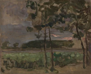Veld met jonge bomen op de voorgrond