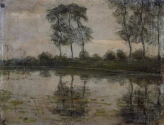Bomen bij rivier Gein