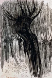 Wilgen, 1902-1904