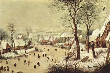 Winterlandschap met vogelval