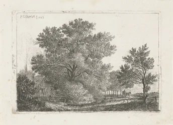 Landschap met grote boom
