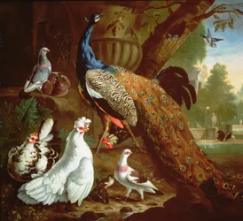 Een pauw in een klassiek landschap, 1719