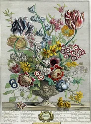 April, uit “Twaalf maanden bloemen”, 1730