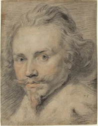Portret van een Man